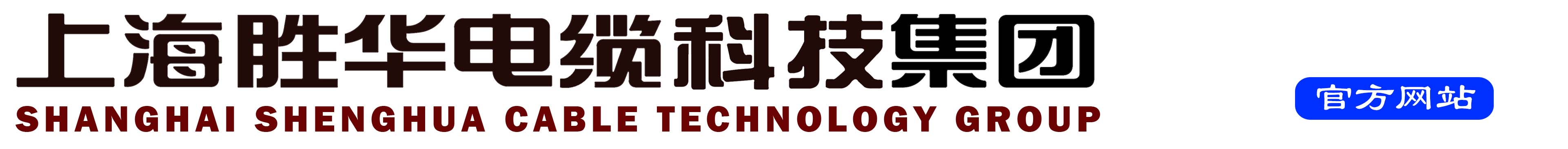 上海海角平台视频海角平台视频科技字  體